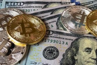 水果玉米批发价格行情走势图？
